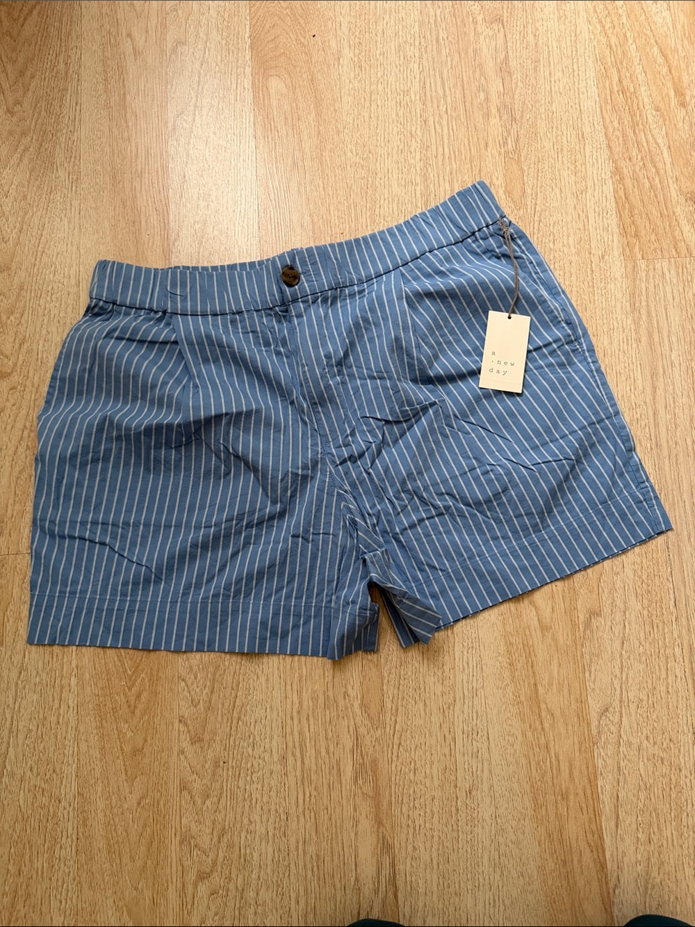 Blue Pinstripe Women’s Shorts - brand: unknown